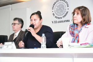 GP Morena llama a Gobierno de la Ciudad de Mxico a detener deforestacin por Deprimido Mixcoac-Insurgentes
 
