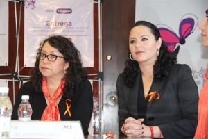 DESPOJO PATRIMONIAL ES MODALIDAD DE VIOLENCIA HACIA MUJERES ADULTAS: DINORAH PIZANO