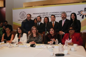 LA CDMX SEGUIR TENIENDO LEYES DE AVANZADA: PRD-ALDF
