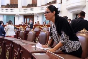 Dar a conocer los alcances de la nueva norma ambiental para la CDMX, exige diputada del PAN al coordinador ejecutivo de la CAMe
 
