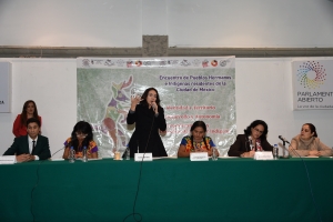 Reivindicar el papel de la mujer y el de la mujer indgena: Dunia Ludlow Deloya
