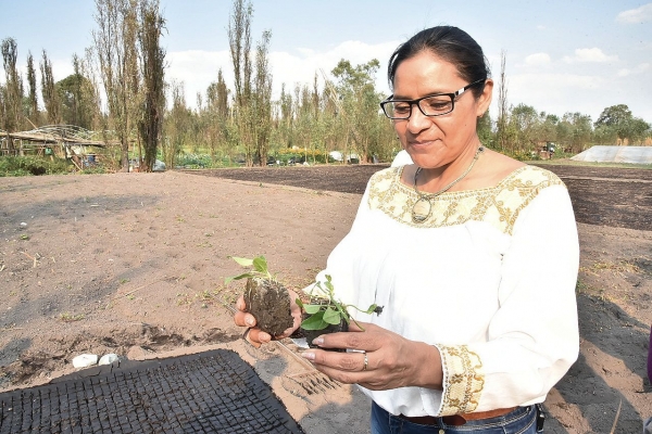 Despus del sismo, Xochimilco recibe con los brazos abiertos al turismo: diputada Flor Ivone Morales 