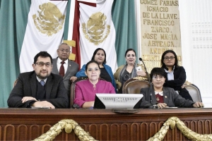 Absoluto respeto de morena a la institucionalidad de la Asamblea Legislativa: Csar Cravioto