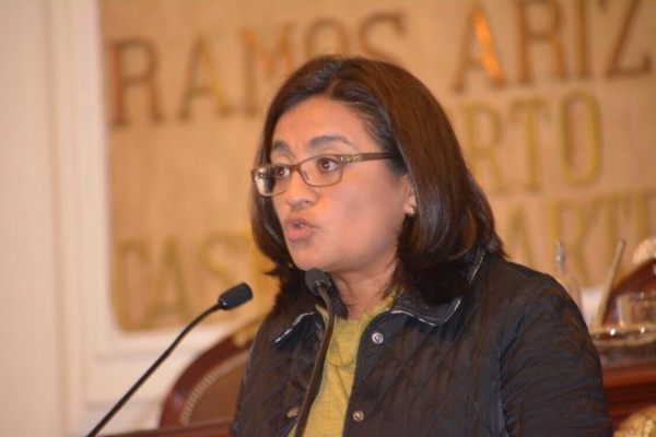 Pide Aleida Alavez que CFE presente a la ALDF programa de sustitucin de torres de alta tensin en Iztapalapa 