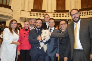 Aprueba ALDF la creacin del Instituto de Atencin Animal 