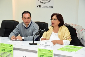 El cultivo del maz originario es un acto de defensa de la soberana alimentaria y de la identidad nacional: Juana Jurez
 
