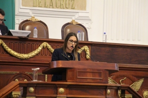 Pide Mariana Moguel al H. Congreso de la Unin aprobar Ley General de Seguridad Vial
