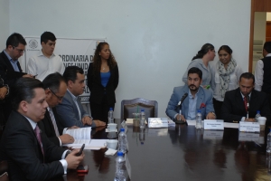 DESIGNAN EN COMISIONES A NUEVA COMISIONADA PARA EL INFO-DF