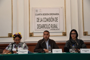 Comisin de Desarrollo Rural promueve comprar a productores locales

