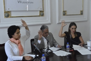 ALDF otorgar presea a defensores de derechos humanos

 
