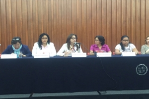 Percibe 70 % de madres jefas de familia menos de 4 mil 500 pesos al mes para mantener a sus hijos: Cynthia Lpez