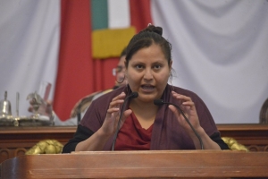 LAS MUJERES DEBEN INTEGRAR LA MITAD EN LA ASAMBLEA CONSTITUYENTE QUE ELABORAR LA CONSTITUCIN DE LA CIUDAD DE MXICO