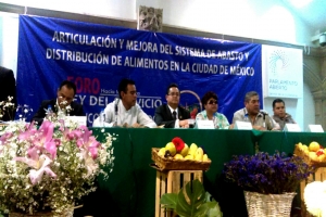 Garantiza ALDF recursos para  la modernizacin y reactivacin de los mercados pblicos de la CDMX