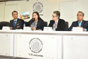 Presentar Hernndez Mora denuncia contra agresores de Iztacalco