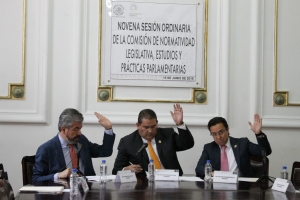 Aprueban regularizar entrega de la Medalla al Mrito Policial