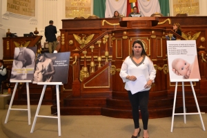 NECESARIO CREAR CONDICIONES DE TIEMPO Y ESPACIO PARA QUE LAS MADRES TRABAJADORAS PUEDAN AMAMANTAR A SUS BEBS: DIPUTADA PENLOPE CAMPOS EN LA ALDF