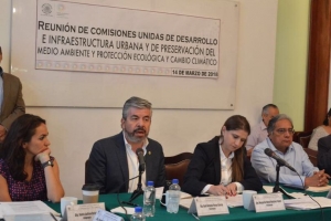 Urge Programa General de Desarrollo Urbano para acabar con corrupcin inmobiliaria: Ral Flores