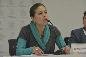 DEMANDA PRISCILA VERA AMPARO Y PROTECCIN DE LA JUSTICIA FEDERAL