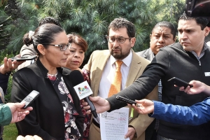 Interpone Flor Ivone Morales queja ante la CDHDF en contra de Toledo, Zrate, Texta, Flores y Luna