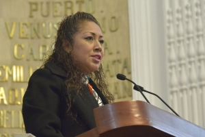 EVITAR DISCRIMINACIN DE COMUNIDAD LGBTTTI Y PRESERVAR SUS DERECHOS: DIPUTADA REBECA PERALTA 