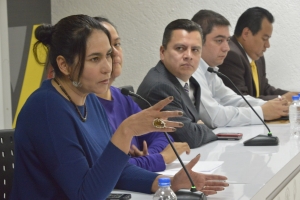 CORTINA DE HUMO LEY ANTI PROTESTA PARA DESVIAR ATENCIN DE IMPACTO DE REFORMA ENERGTICA