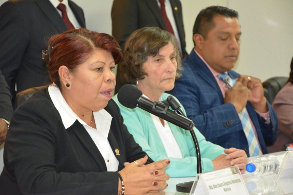 Ley electoral incompleta; sin derechos polticos pueblos y barrios originarios: Morena 