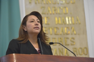 Jany Robles Ortiz, diputada del PRI en la ALDF, presenta iniciativa para regular el trabajo sexual en la ciudad
 
 
