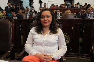 DEMANDA YURIRI AYALA APROBAR LEY DE PROFESIONES PARA EL DF