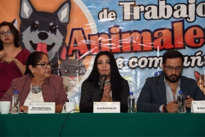 Janet Hernndez pide intensificar campaas contra el maltrato y abandono de mascotas
