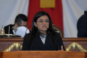 CONSTITUCIN POLTICA DE LA CIUDAD DE MXICO DEBE PROHIBIR LA PRIVATIZACIN DEL AGUA: ALEIDA ALAVEZ