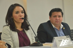 SE PRESENTAR ANTE EL PLENO, INICIATIVA PARA REFORMAR LEY ORGNICA DE LA ALDF EN TRANSPARENCIA