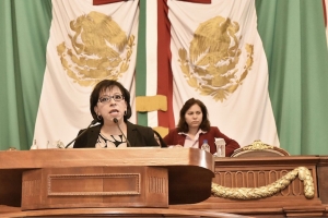 El Gobierno local es incapaz de implementar un programa serio de reconstruccin: diputada Beatriz Rojas