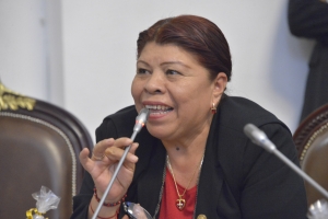 
Mancera desva recursos pblicos para campaas electorales y descuida programas sociales: Ana J. ngeles 
