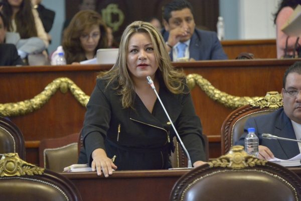 Que Senado pida la comparecencia de Luis Videgaray: Elizabeth Mateos 