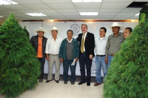 UNA NAVIDAD VERDE EN LA CIUDAD DE MXICO