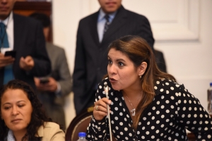 Pide diputada Penlope Campos ampliar calendarios para que dependencias  locales comprometan recursos en obra pblica