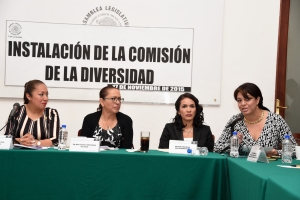 IMPULSAR PRD EN ALDF INICIATIVAS QUE TERMINEN CON CRMENES DE ODIO HACA LA COMUNIDAD DE LA DIVERSIDAD SEXUAL: JANET HERNNDEZ SOTELO