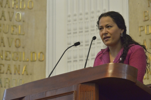 Autoridades tendran que informar medidas de proteccin civil en actos pblicos