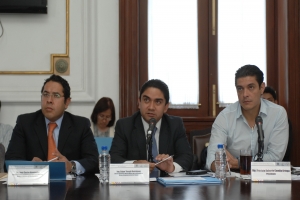 PROYECTOS 2014 SON OBRAS DE BENEFICIO SOCIAL, NO OCURRENCIAS: CANDIA ORTEGA