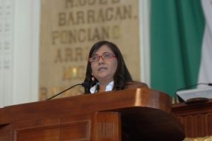 DIPUTADA LUCILA ESTELA SOLICITA AL GDF SIMPLIFIQUE PROCEDIMIENTO DE REGISTRO  Y AUTORIZACIN DE CENTROS COMUNITARIOS