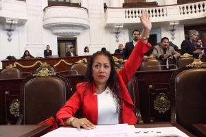 Autoridades debern explicar causas de rias en tutelar para menores de San Fernando: dip. Rebeca Peralta