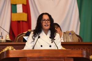 Presenta Vania vila iniciativa para crear Ley Orgnica de la Administracin Pblica de la Ciudad de Mxico