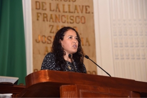 Presenta Vania vila iniciativa para crear Ley Orgnica del Congreso de la Ciudad de Mxico