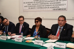 Solicita Manuel Ballesteros apoyo para regularizacin de pequeos establecimientos de bajo impacto