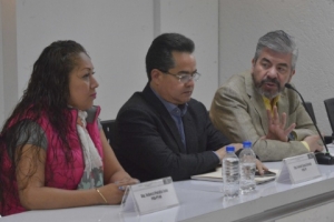 REFERNDUM, GARANTIZARA LEGITIMACIN DE LA NUEVA CONSTITUCIN DE LA CIUDAD DE MXICO: PRD