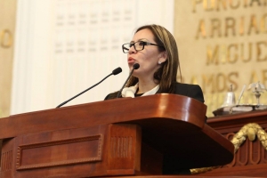 INSTA DIPUTADA DEL PAN A RESTABLECER SUMINISTRO DE AGUA EN TLHUAC