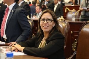 No obstruir funciones de Coordinadores Territoriales en Xochimilco, exige diputada del PAN a delegado
 
