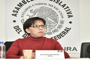 Ante la violencia y la desigualdad, este 8 de marzo, las mujeres en la ciudad realizan paro de actividades: diputada Beatriz Rojas Martnez