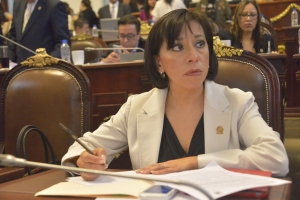 Gobierno de la Ciudad de Mxico viola ley de igualdad sustantiva: Beatriz Rojas
 
