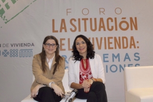 DF REQUIERE NUEVA LEY DE VIVIENDA QUE PROTEJA A LOS GRUPOS VULNERABLES: MARGARITA MARTNEZ FISHER